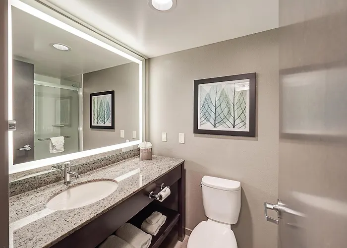 Doubletree By Hilton 4* Bloomington